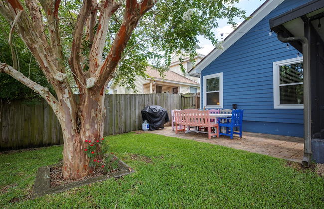 Paradise Palm - Foto 26