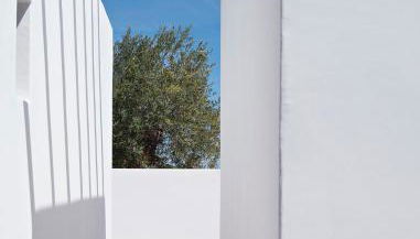 Pensão Agrícola - Foto 4, Garden