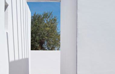 Pensão Agrícola - Foto 4