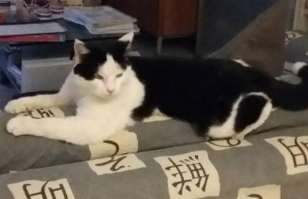 Agriturismo al Monte - Foto 11