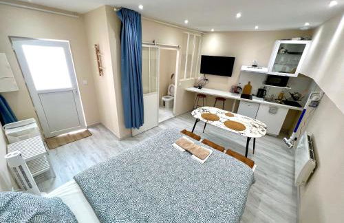 Toulouse : Studio équipé au cœur de St-Cyprien - Photo 1