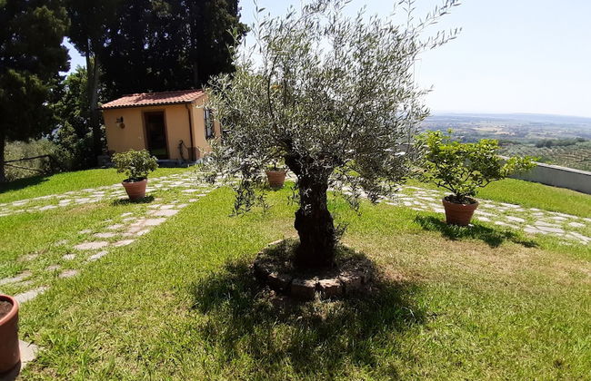 Agriturismo Podere Pilar - Foto 24