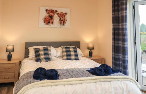 Pine Marten - Foto 23