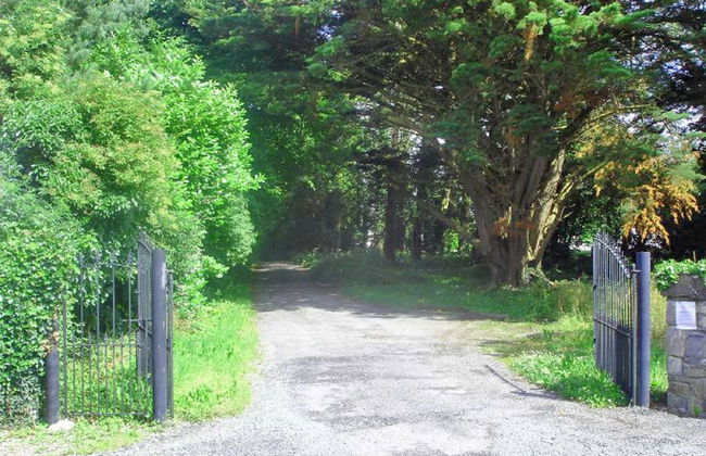 3 bedroom House in Nenagh with garden - Photo 5