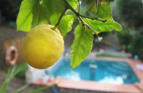 Oasi Della Natura with pool by Local House - Foto 16