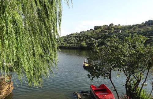 Casa da Caroline - Foto 19