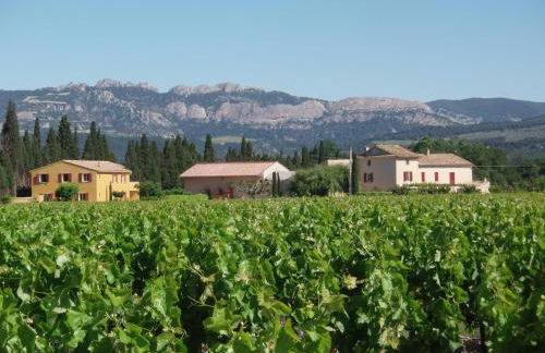Gîte Les Vignes - Foto 18