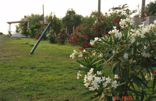 Terpsichore Apartments - Foto 35