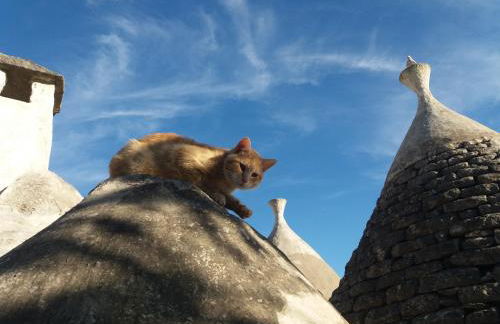 Trulli di Puglia - Casa vacanze in Valle d'Itria - Foto 47