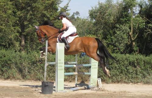 O Cantinho da Penetra AL - Foto 49