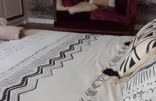 La Bohème - Foto 13