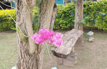 chaler Sao Jorge - Foto 44