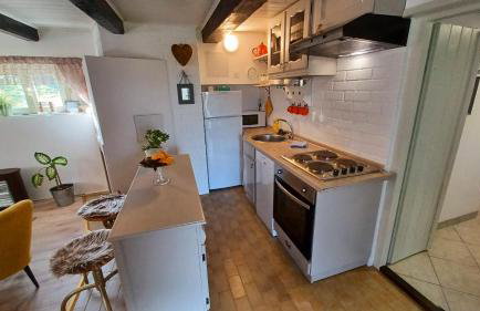 Holiday House Gajski Vrh - Foto 27