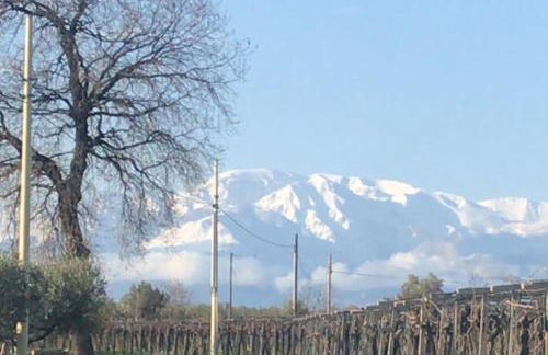 “La Casetta del 1930” Historic unit from early '900 - Foto 1