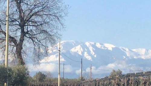 “La Casetta del 1930” Historic unit from early '900 - Foto 1