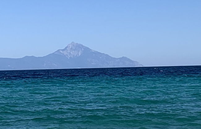 Beautiful Petrino 1880 - Photo 26