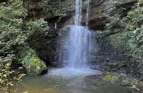 The Valley Cabin - Photo 22