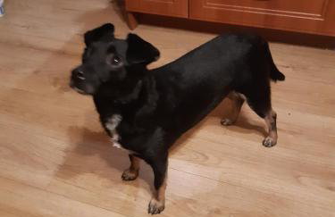 Apartamenty Nad Wisłą - Foto 9