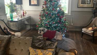 Ingram House with Hot Tub - Foto 4