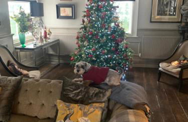 Ingram House with Hot Tub - Foto 4