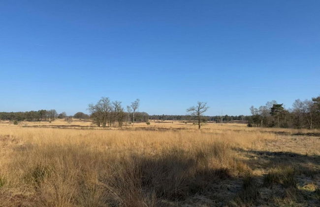 Detached Bungalow With Wifi, Located at Park De Veluwe - Foto 38