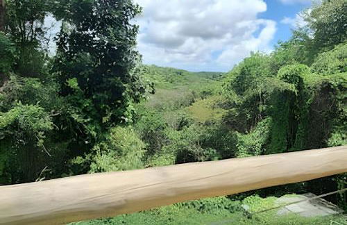 Flat Térreo em Meio a Natureza - Foto 40