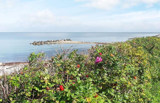 6 Person Holiday Home in Hundested - Foto 29