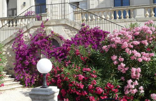 Domaine de la Vidalle - Foto 16