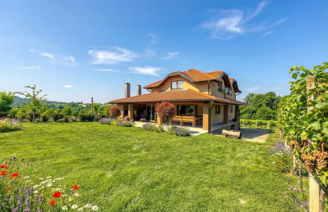 Hedonistic Vineyard Estate - Photo 33