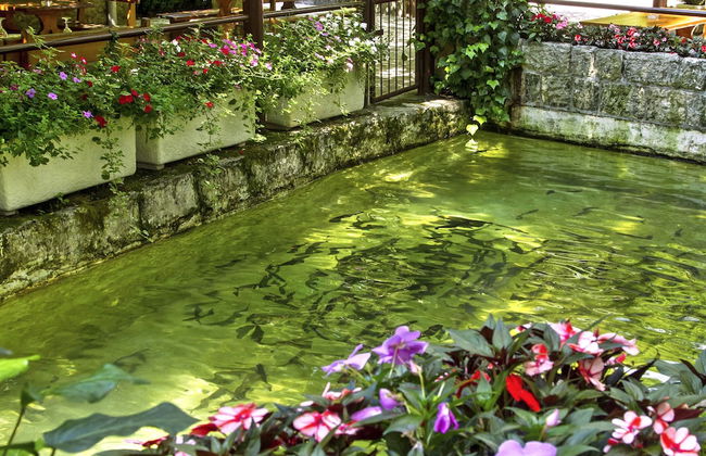 House Villa The View - Foto 73