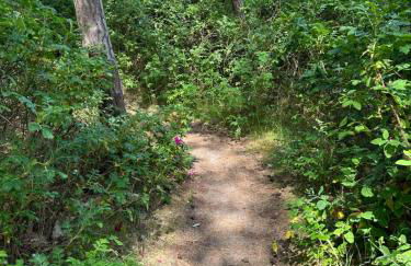 Strandperle - Foto 6