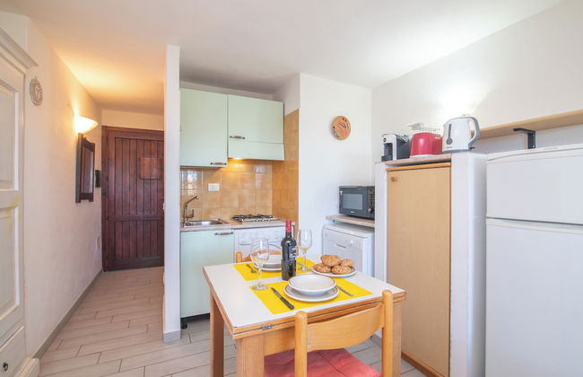 Mono Calamaro Eucalyptus 242 - Foto 7