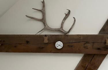 Remise an der Rennbahn - 30 Minuten zum Alexanderplatz und doch im Grünen - Foto 27