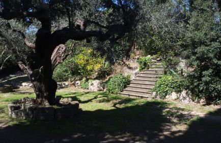 La Dolce Casetta - Foto 80