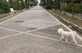 Casa del sole - Foto 72