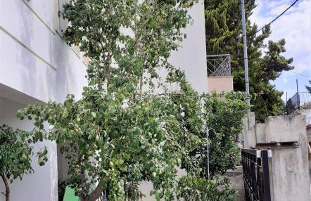 Villa Malena Volos Alykes beach - Photo 6