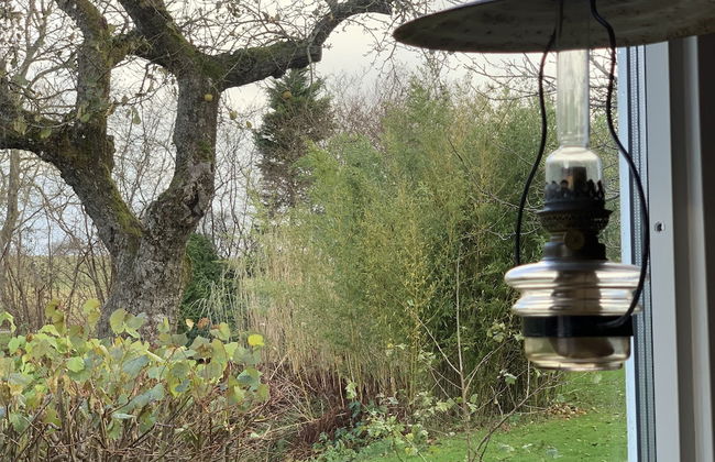 Villa Maria Garden Cottages - Foto 1