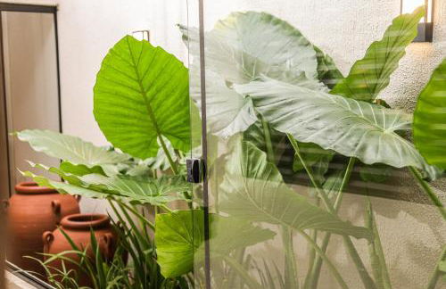 Halmá Homes - Foto 11