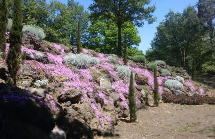 Boscoscuro - Foto 28