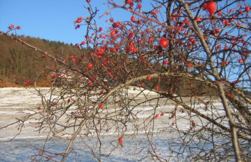 Apartment FeWo Panorama by Interhome - Foto 45