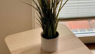 Apartment Hasel Barrierefrei mit Fahrstuhl direkt am Stausee by Interhome - Foto 4