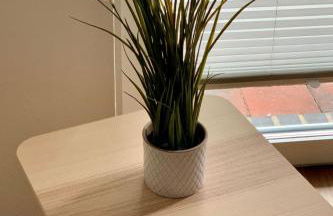 Apartment Hasel Barrierefrei mit Fahrstuhl direkt am Stausee by Interhome - Foto 4