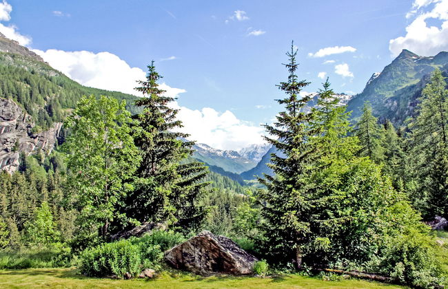 Chez Les Roset - Photo 29