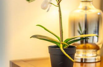 The Essex Apartments - Ashby House - Foto 73