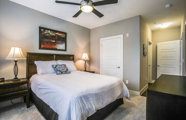 Frisco beautifully furnished 2 br apt - Photo 7