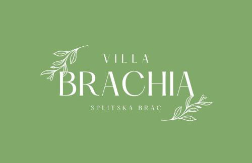 Villa Brachia - Photo 43