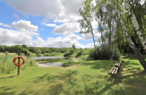 Zur Schwalbe - Photo 38