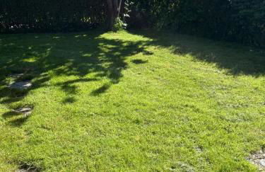 Alte Liebe - Foto 18