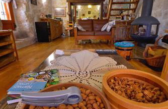 Home Sweet Home traditional Dalmatian house with pool - Photo 49