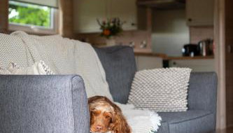 Curlew Lodge Yorkshire - Photo 4